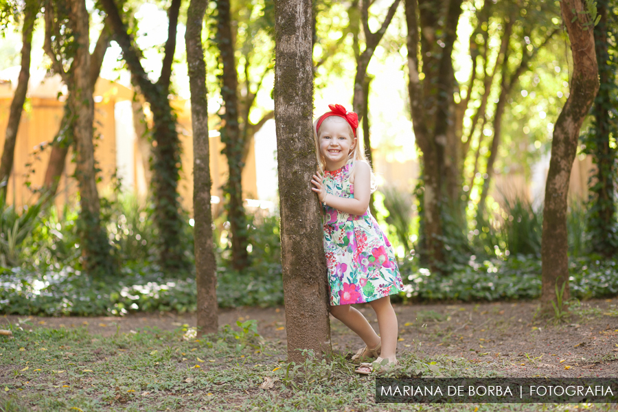 ensaio infantil externo isabela 3 anos ivoti fotografo sao leopoldo (10)