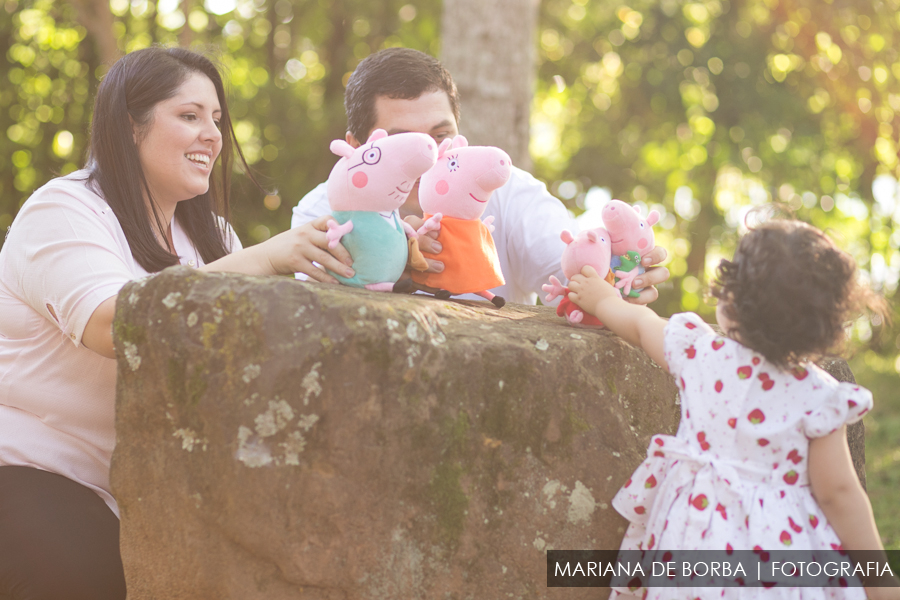 ensaio infantil familia elisa 2 anos fotografo sao leopoldo (10)