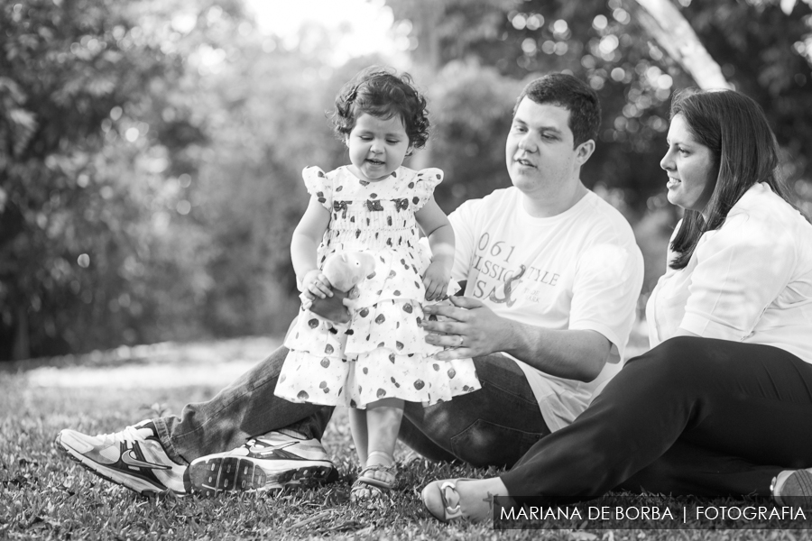 ensaio infantil familia elisa 2 anos fotografo sao leopoldo (11)