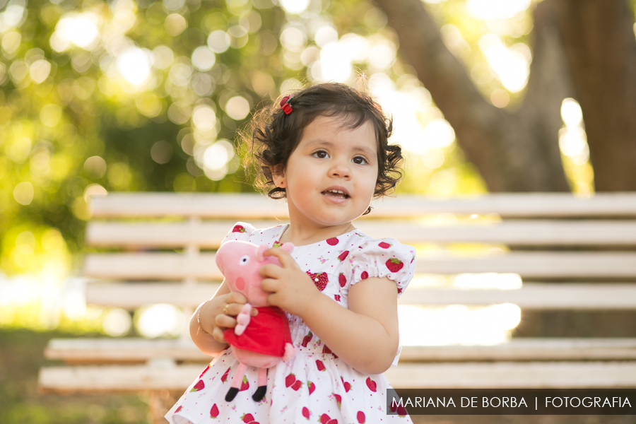 ensaio infantil familia elisa 2 anos fotografo sao leopoldo (12)