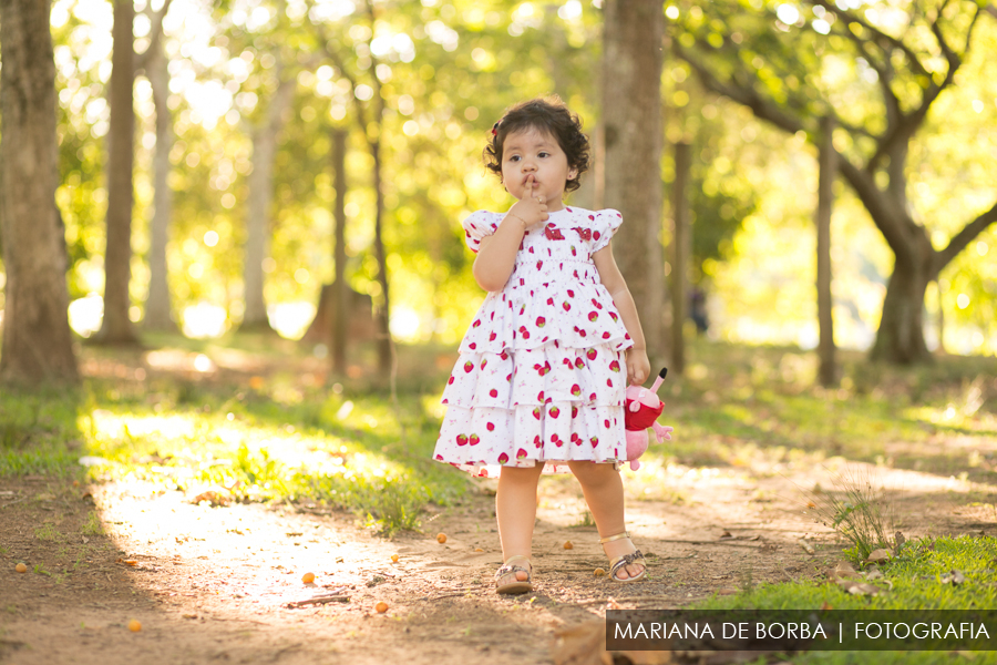 ensaio infantil familia elisa 2 anos fotografo sao leopoldo (14)