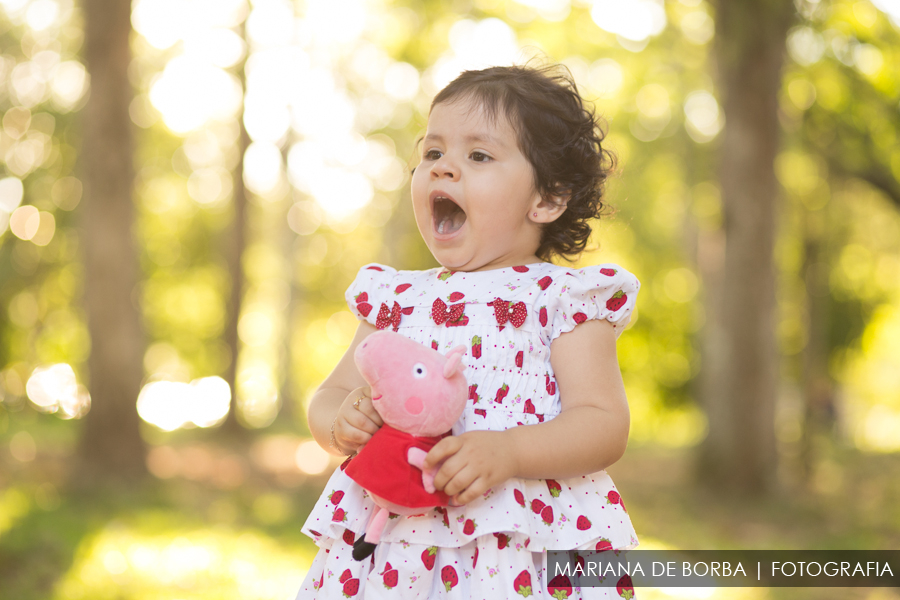 ensaio infantil familia elisa 2 anos fotografo sao leopoldo (15)