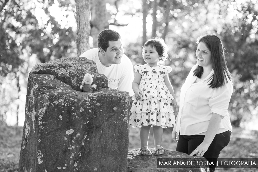 ensaio infantil familia elisa 2 anos fotografo sao leopoldo (16)