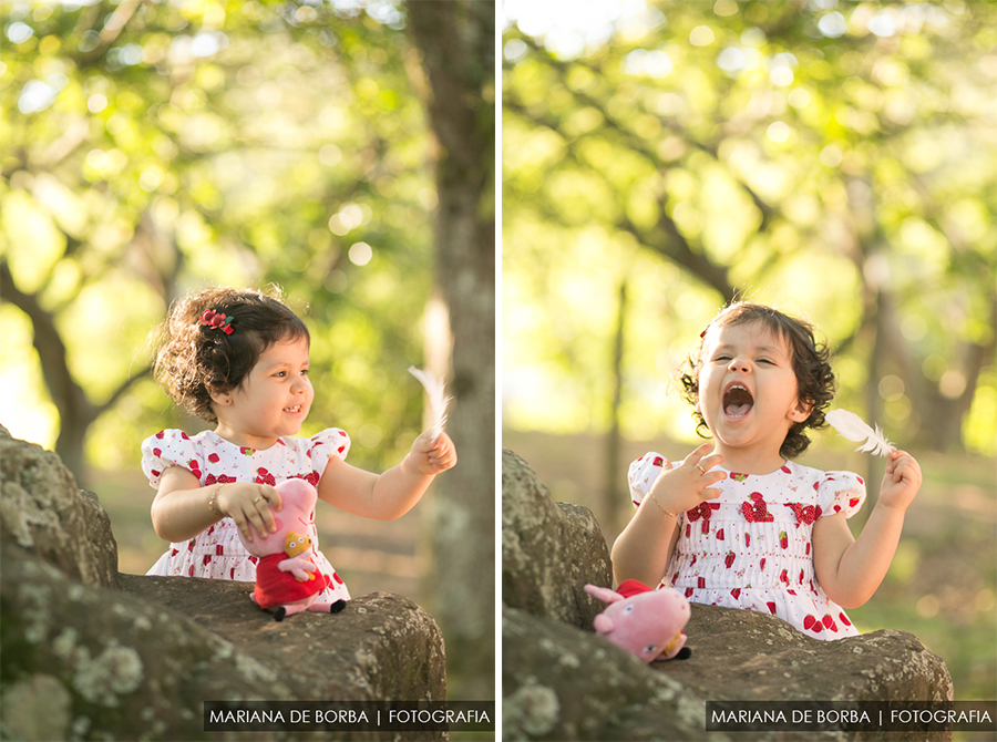 ensaio infantil familia elisa 2 anos fotografo sao leopoldo (17)