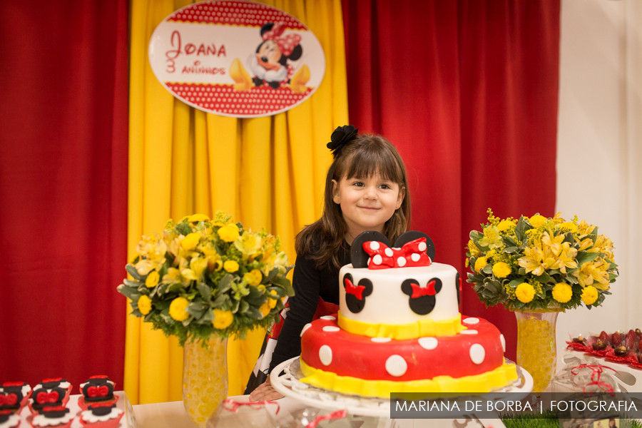 aniversario infantil 3 aninhos joana fotografo sao leopoldo (1)