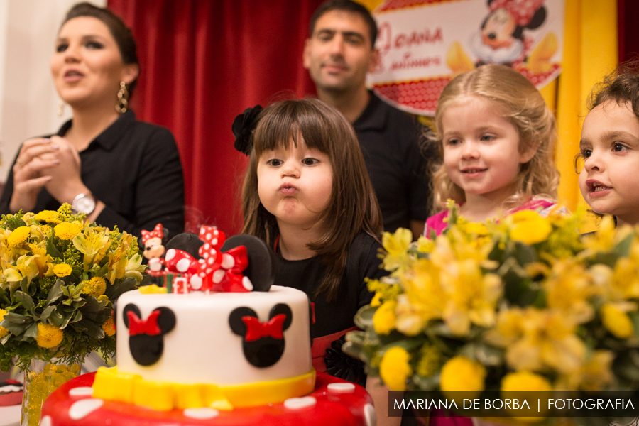 aniversario infantil 3 aninhos joana fotografo sao leopoldo (15)