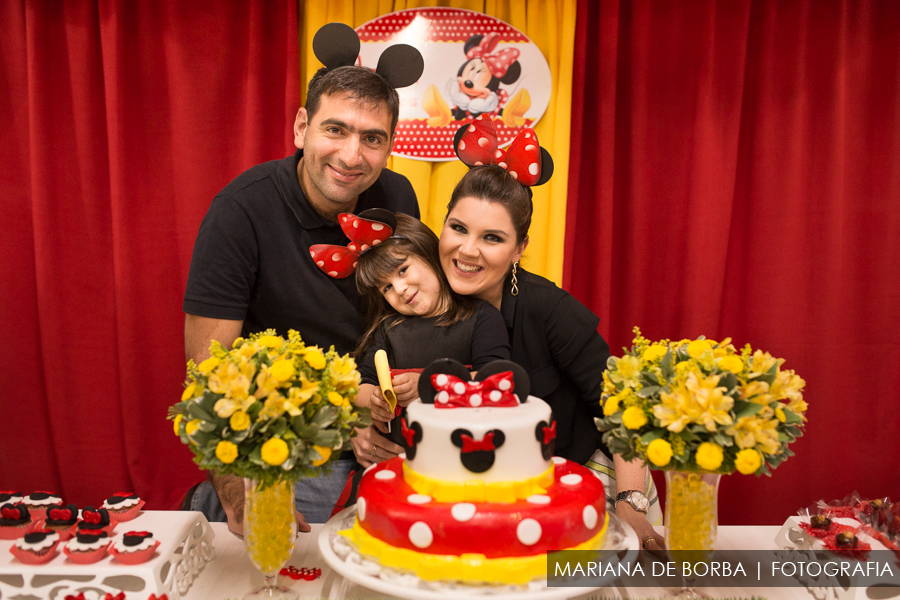 aniversario infantil 3 aninhos joana fotografo sao leopoldo (16)