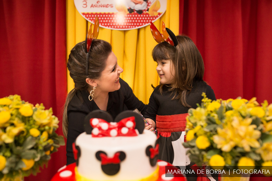 aniversario infantil 3 aninhos joana fotografo sao leopoldo (17)