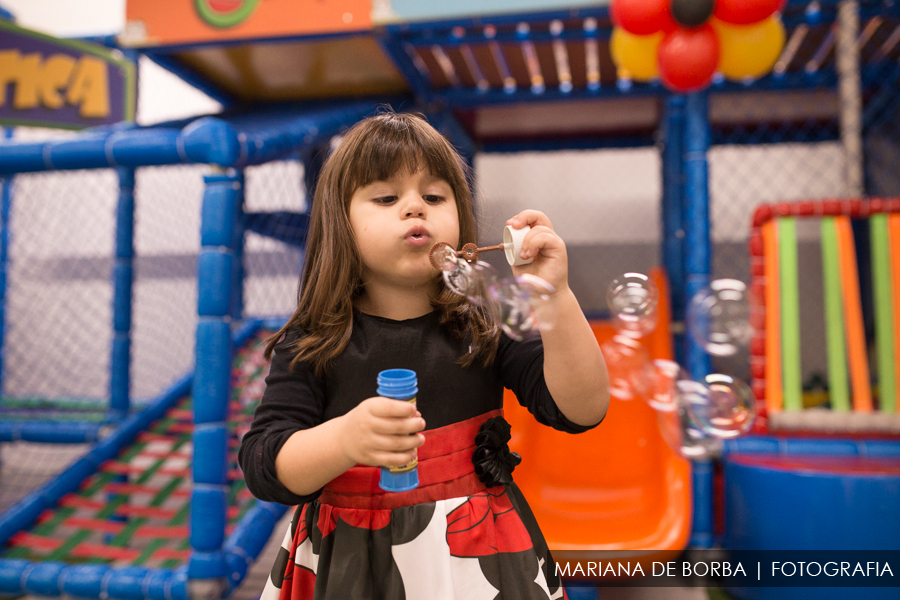 aniversario infantil 3 aninhos joana fotografo sao leopoldo (19)