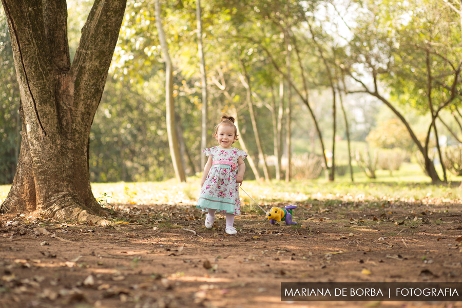 ensaio familia infantil luiza conti externo sao leopoldo (7)