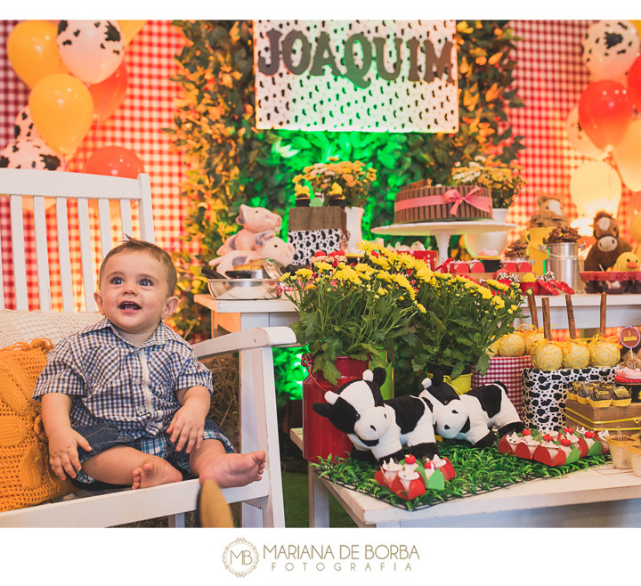 Joaquim | aniversário de 1 aninho | Novo Hamburgo | fotógrafo de criança e infantil São Leopoldo