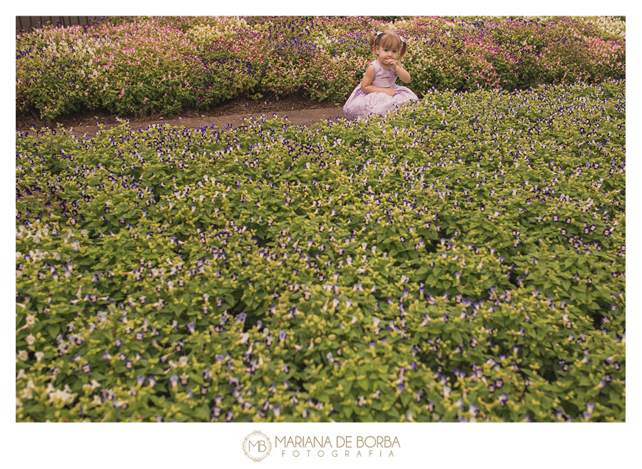 casamento viviane e mateus novo hamburgo fotografo sao leopoldo (2)