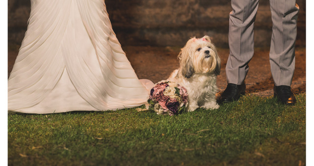 Paula e Igor | casamento | Novo Hamburgo | fotógrafo São Leopoldo