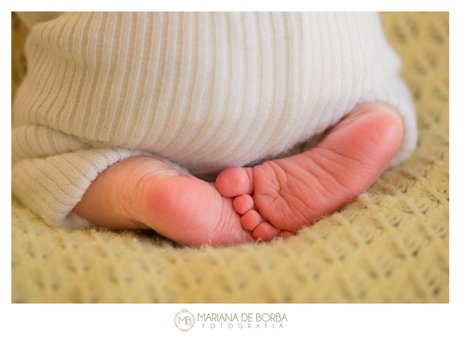 ensaio newborn guilherme 9 dias fotografo infantil sao leopoldo (4)
