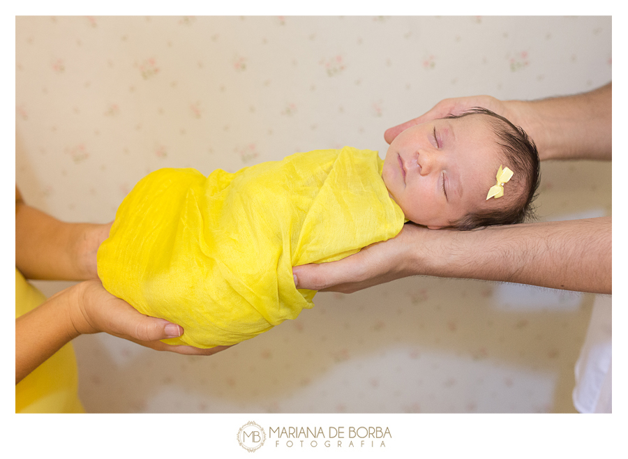 ensaio newborn luiza 6 dias fotografo infantil bebe sao leopoldo (12)