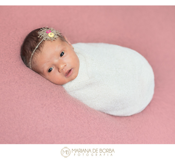 Antônia | 7 dias de vida | ensaio newborn | menina | fotógrafo infantil e de família São Leopoldo