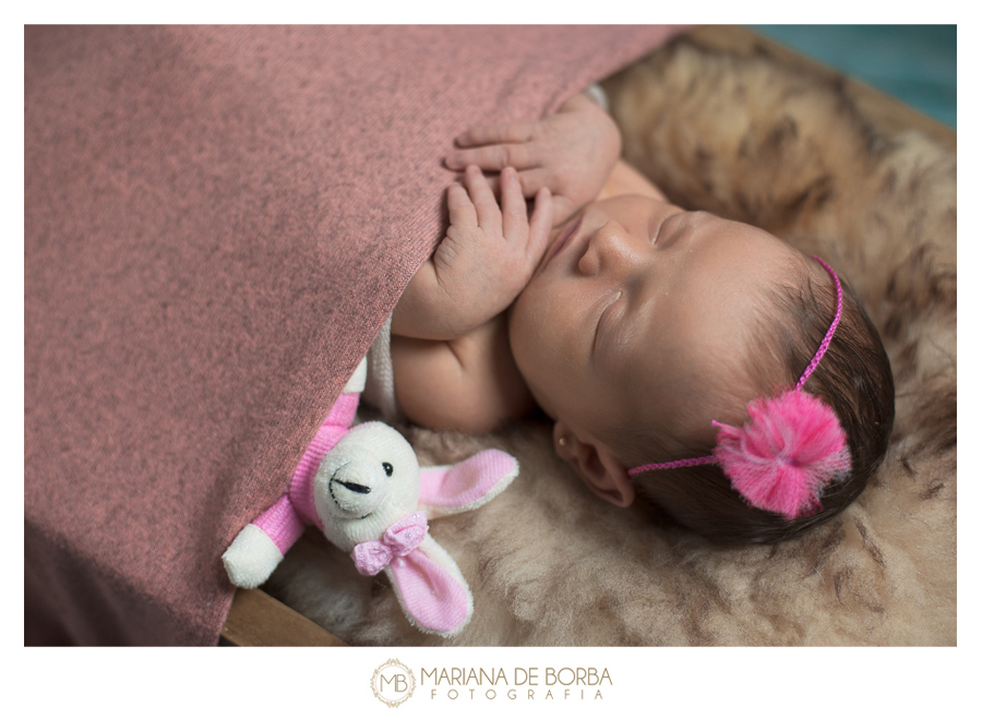 ensaio newborn antonia 7 dias fotografo familia infantil sao leopoldo (8)