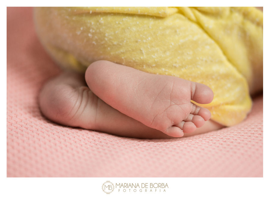 ensaio newborn laura 8 dias de vida fotografo familia infantil sao leopoldo (3)