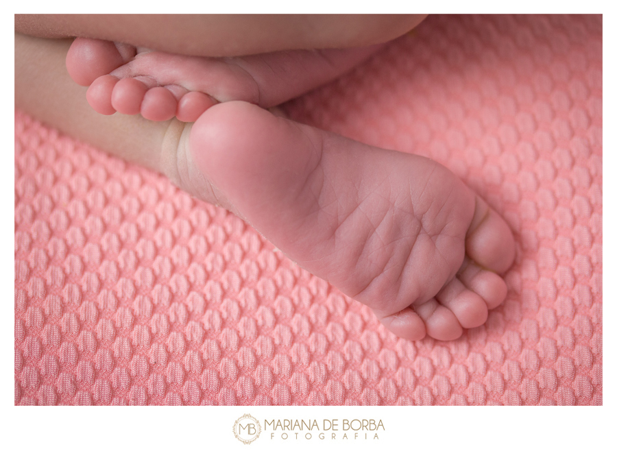 newborn-anahi-11-dias-menina-fotografo-familia-sao-leopoldo4