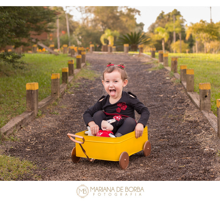 Lavínia | 2 anos | ensaio externo | São Leopoldo | fotógrafo infantil e de família
